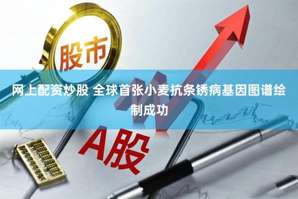 网上配资炒股 全球首张小麦抗条锈病基因图谱绘制成功