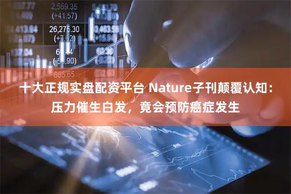 十大正规实盘配资平台 Nature子刊颠覆认知:压力催生白发,竟会预防癌症发生