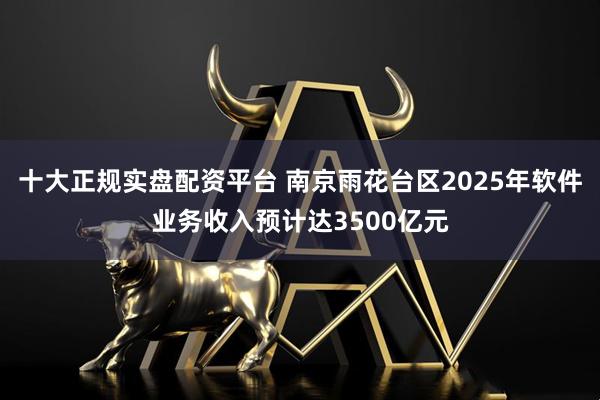 十大正规实盘配资平台 南京雨花台区2025年软件业务收入预计达3500亿元